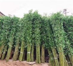 仿真竹排，仿真竹子，防紫外线竹子，三森德仿真竹子