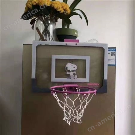 全国包邮 家庭用壁挂式篮球架篮球板 适用儿童成人 悬挂简单 高低随处可挂 价格低廉轻便安全 PC材料环保耐用