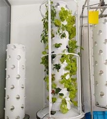 水培立柱系统 产量可提升30% 节省90%的空间资源 蔬菜绿色新鲜