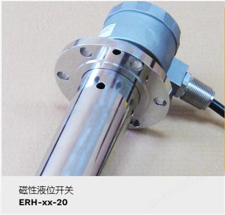 APLISENS ERH ERH-xx-20 ERH-11-20 ERH-SMALL 液位传感器