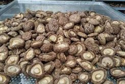 香菇烘干房 农副产品烘干设备 果蔬智能烘干机-伍木农业