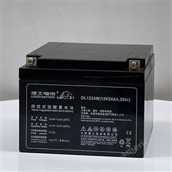 理士铅酸免维护蓄电池12V24AH UPS不间断电源专用电池DJW1224