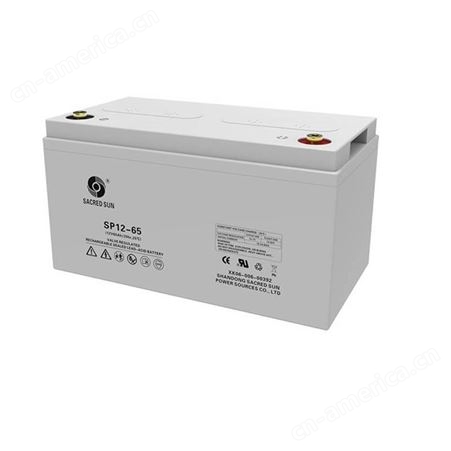 圣阳蓄电池12v100ah SP12-100UPS EPS直流屏产品