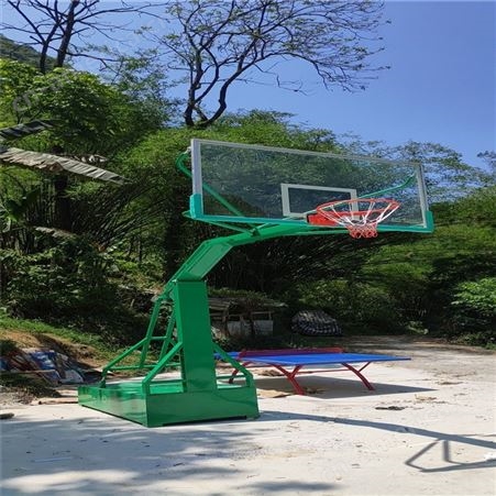体育器材篮球架 室外比赛用 液压篮球架子 表面做防腐处理