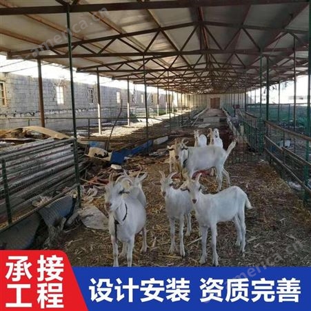 养羊场畜牧大棚骨架安装 凯富特智能牛羊养殖大棚生产厂家