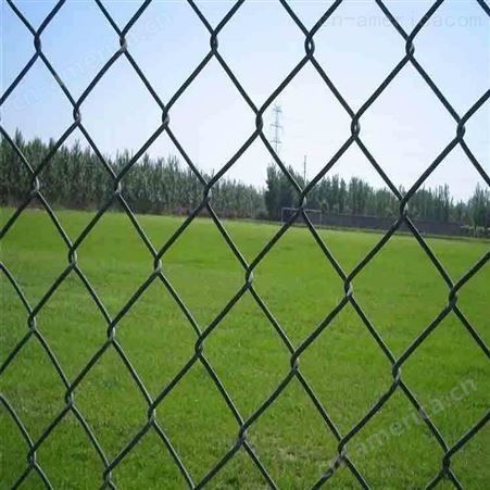 勾花网 唯佳 运动场专用围栏 美观大方 支持定制  质量保障