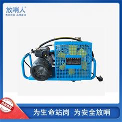 放哨人FSR0118空气充气泵     呼吸器充气泵   高压充气泵